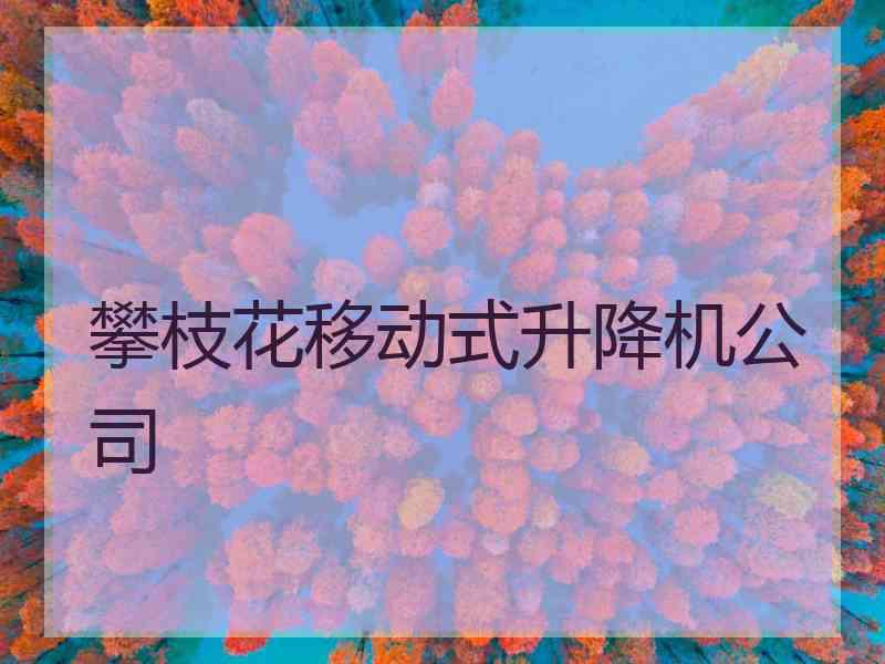 攀枝花移动式升降机公司
