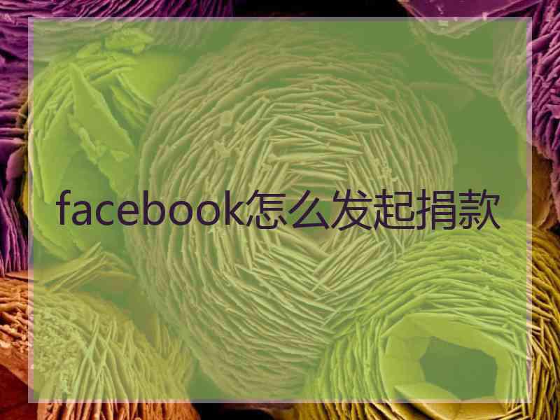 facebook怎么发起捐款