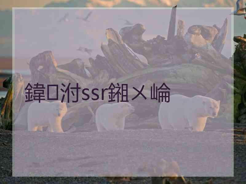 鍏泭ssr鎺ㄨ崘
