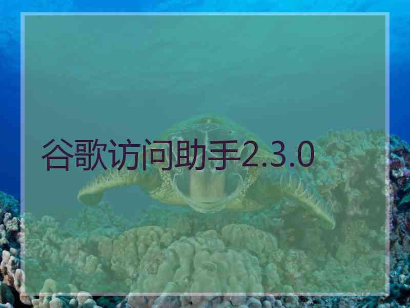 谷歌访问助手2.3.0