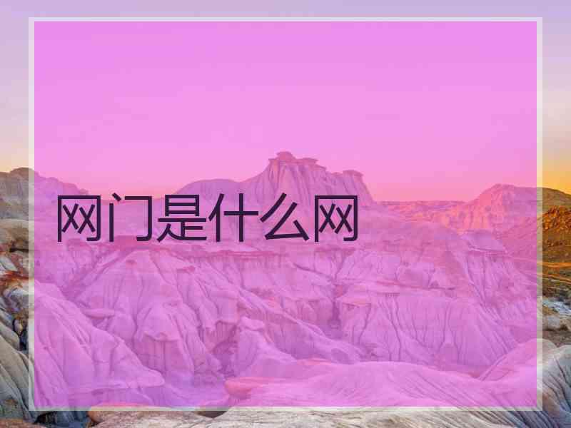 网门是什么网