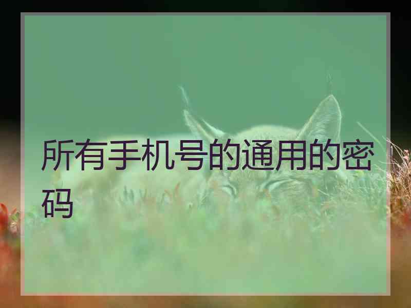 所有手机号的通用的密码