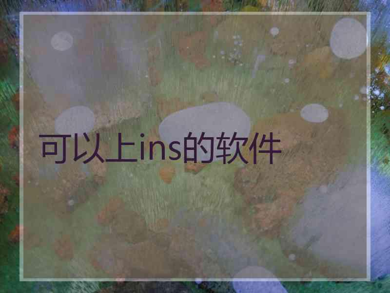 可以上ins的软件