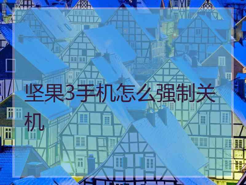 坚果3手机怎么强制关机