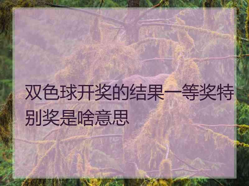 双色球开奖的结果一等奖特别奖是啥意思