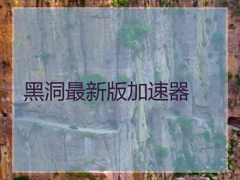 黑洞最新版加速器