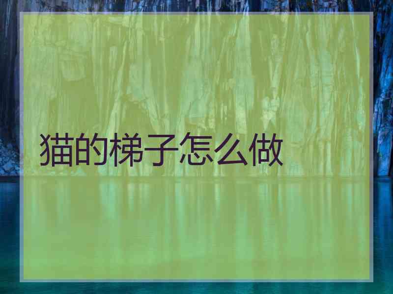 猫的梯子怎么做