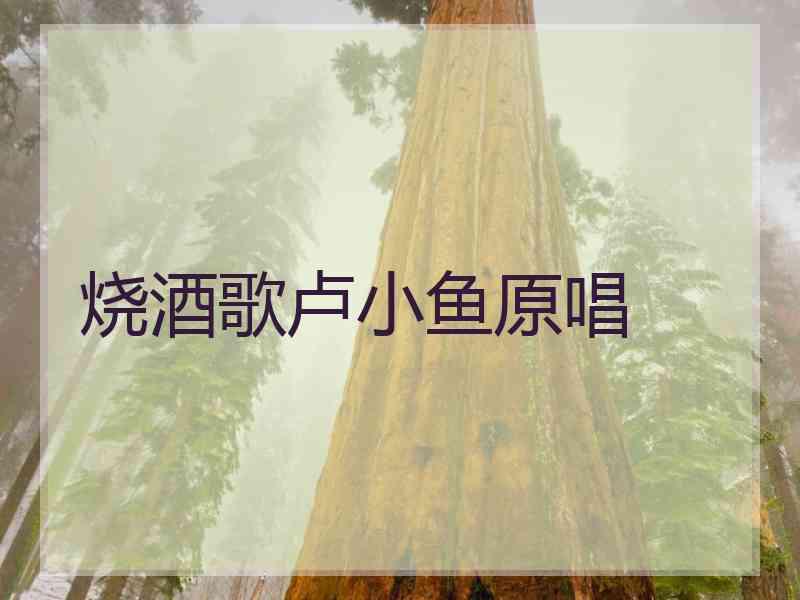 烧酒歌卢小鱼原唱