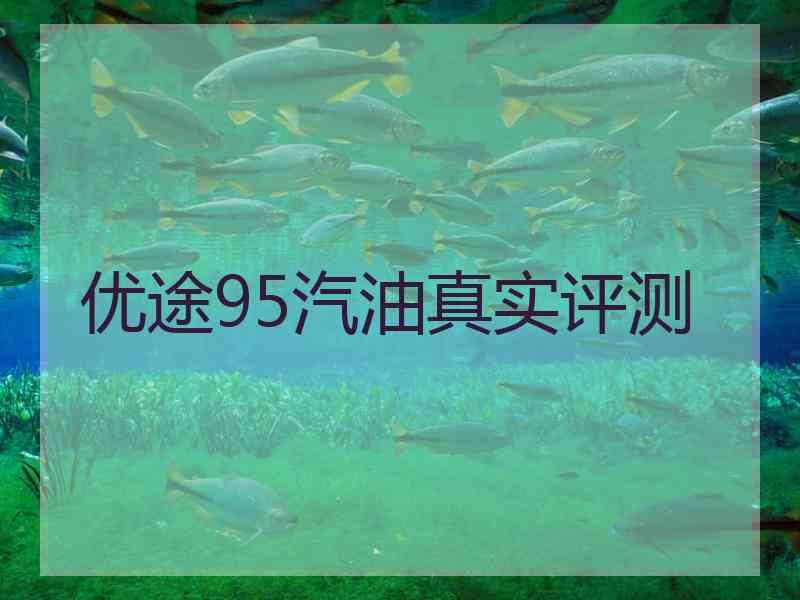 优途95汽油真实评测