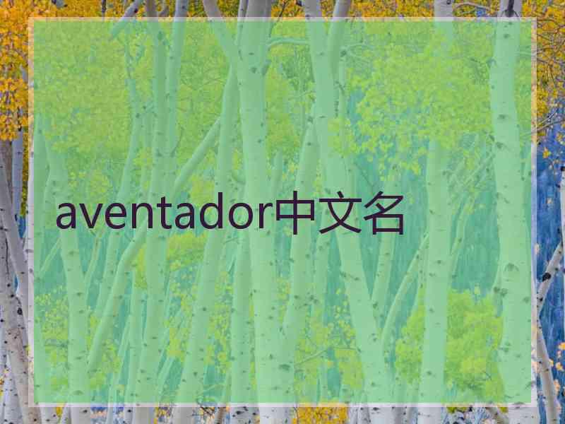 aventador中文名