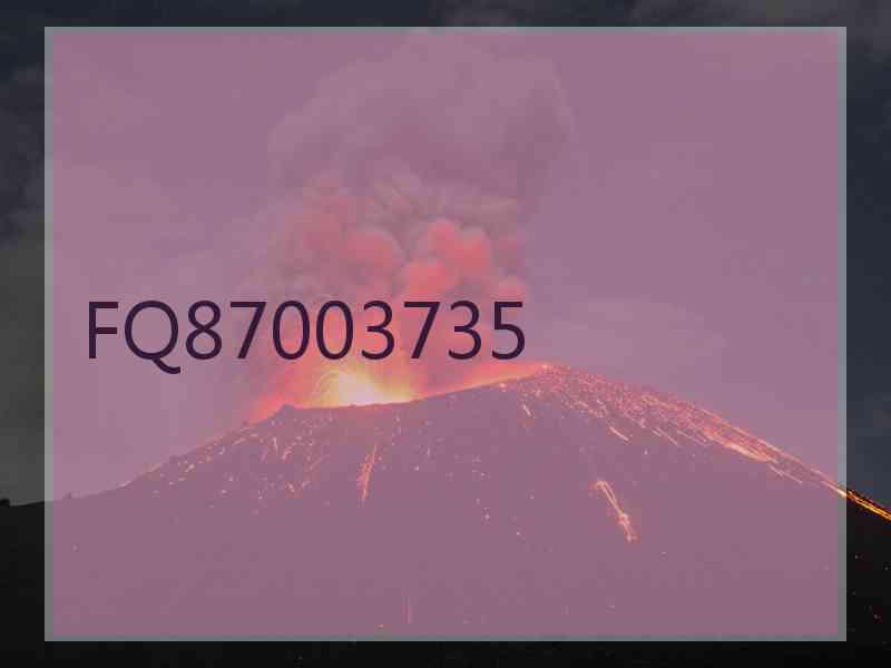 FQ87003735
