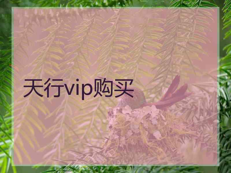 天行vip购买