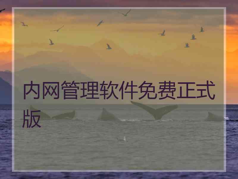内网管理软件免费正式版