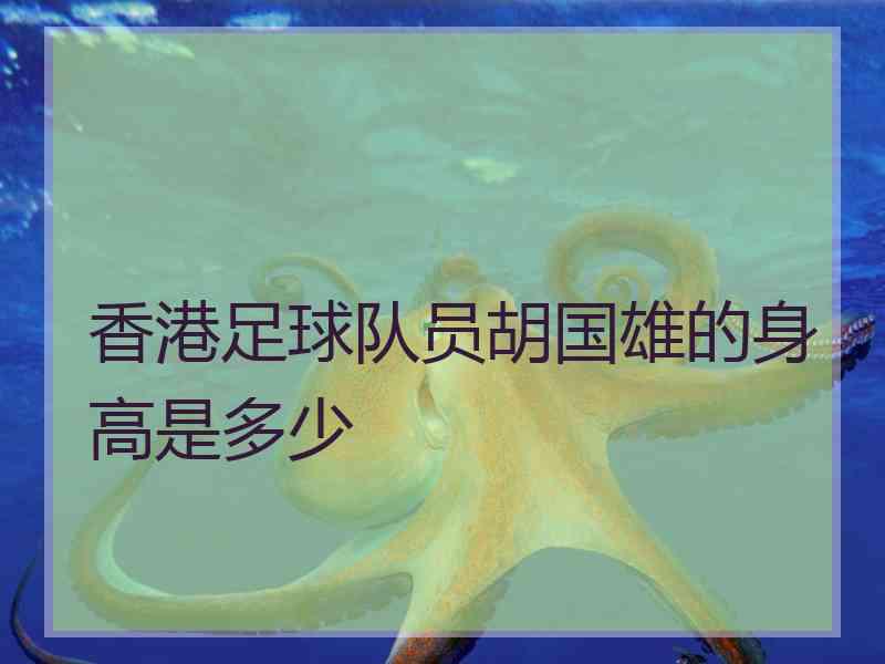香港足球队员胡国雄的身高是多少