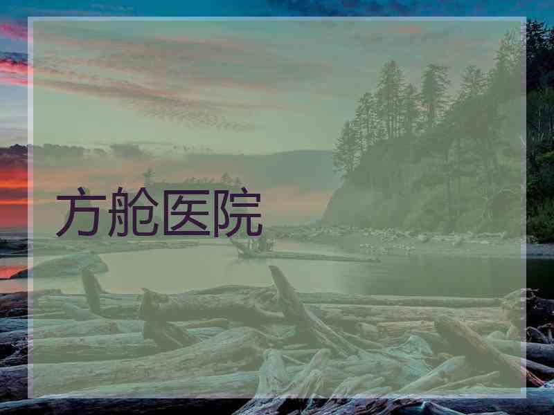 方舱医院