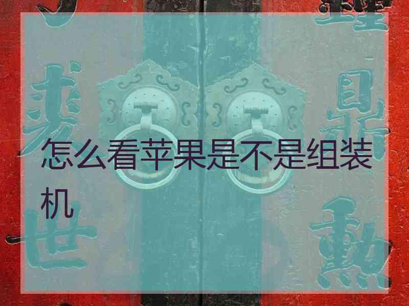 怎么看苹果是不是组装机