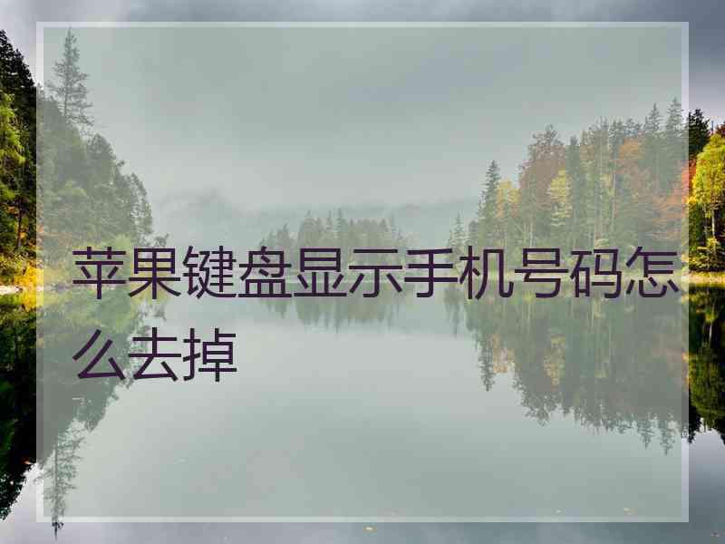 苹果键盘显示手机号码怎么去掉