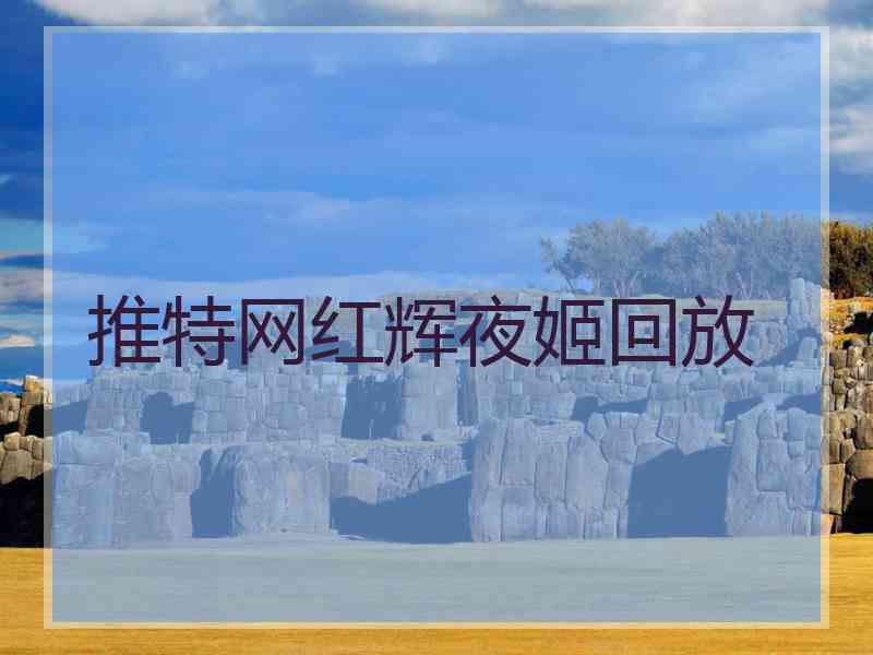 推特网红辉夜姬回放