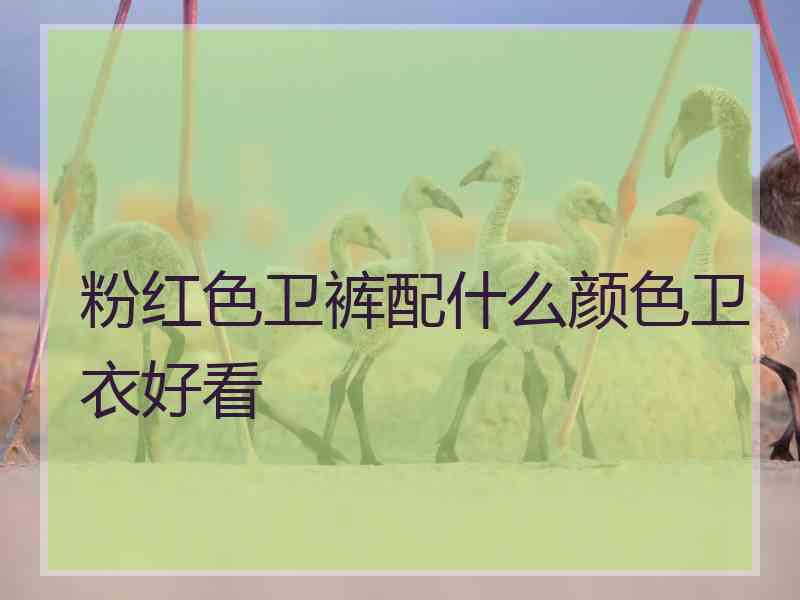 粉红色卫裤配什么颜色卫衣好看