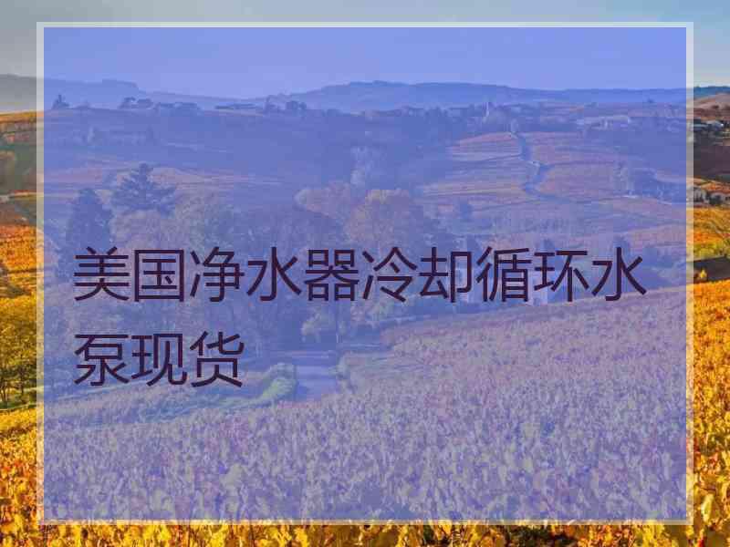 美国净水器冷却循环水泵现货
