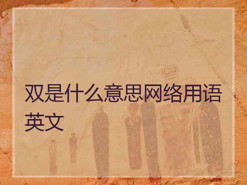 双是什么意思网络用语英文