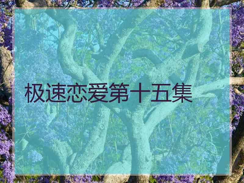 极速恋爱第十五集