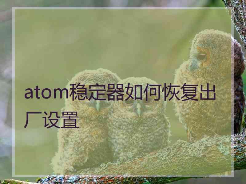 atom稳定器如何恢复出厂设置