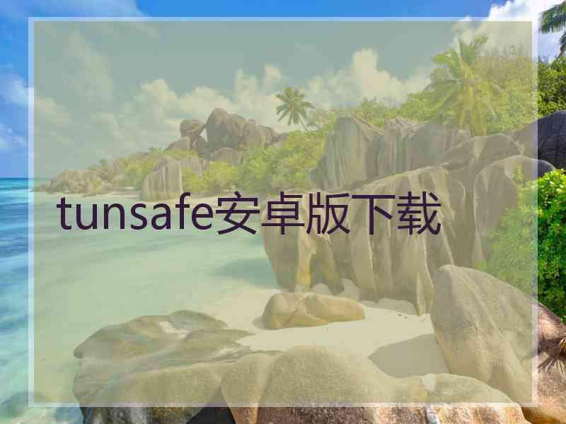 tunsafe安卓版下载