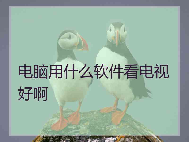 电脑用什么软件看电视好啊