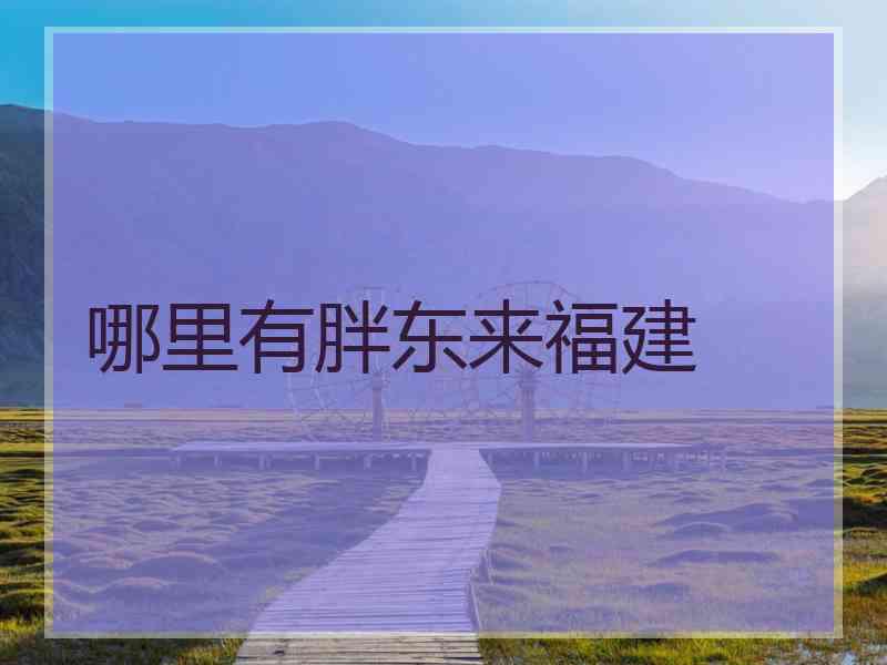 哪里有胖东来福建