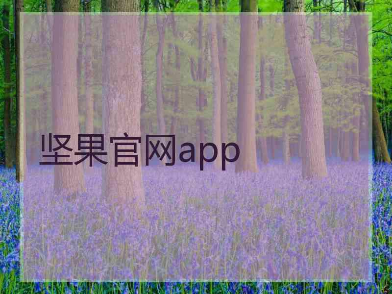 坚果官网app