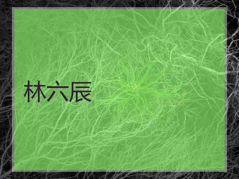 林六辰