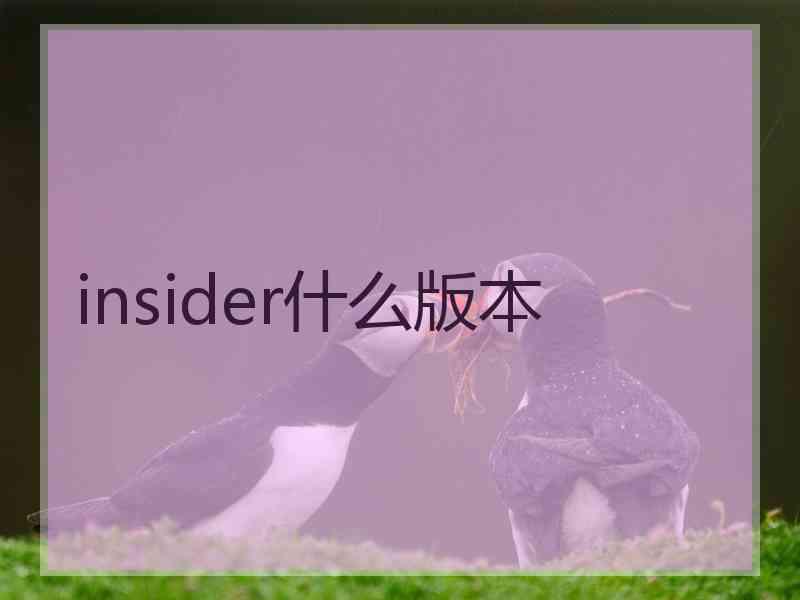 insider什么版本