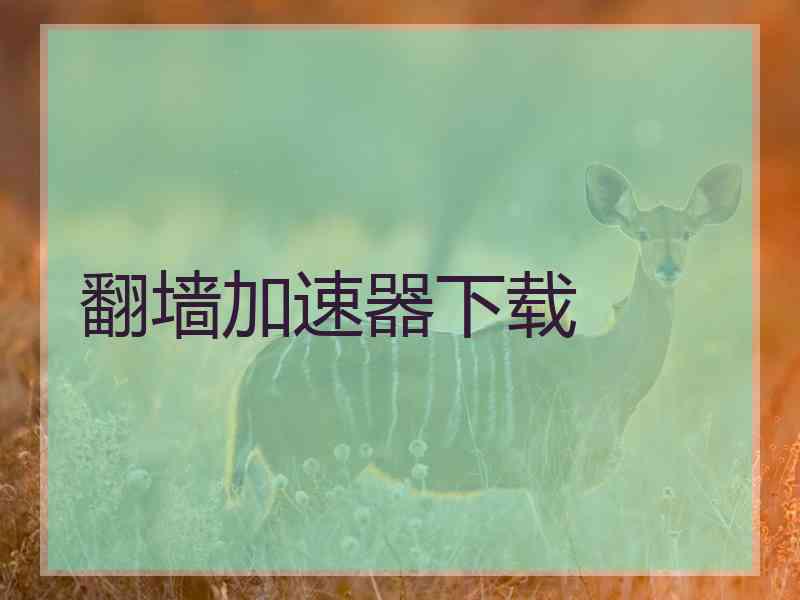翻墙加速器下载