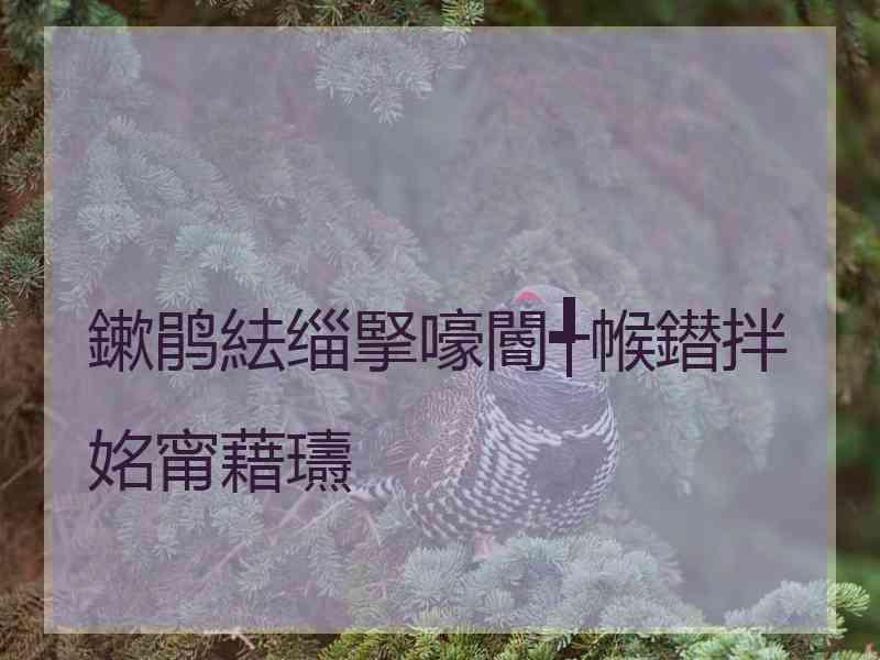 鏉鹃紶缁掔嚎閽╃帿鐟拌姳甯藉瓙