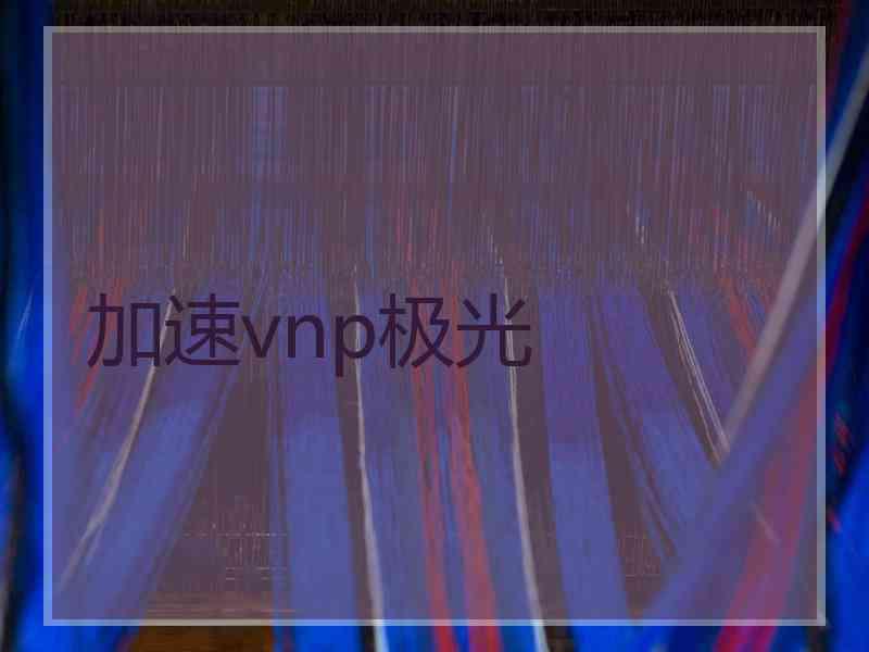 加速vnp极光