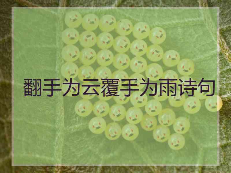 翻手为云覆手为雨诗句