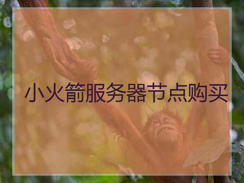 小火箭服务器节点购买