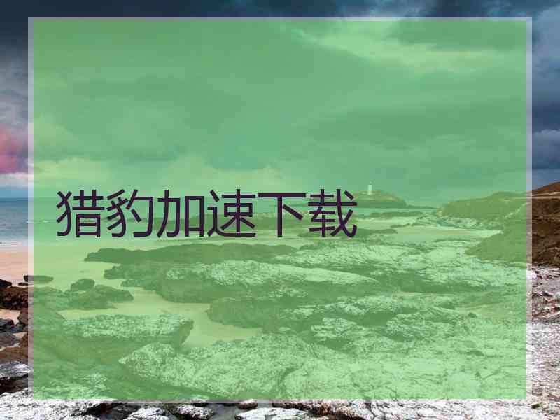 猎豹加速下载