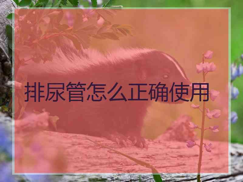 排尿管怎么正确使用