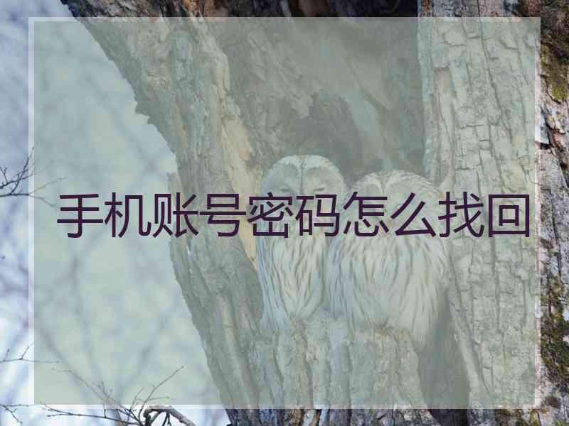 手机账号密码怎么找回