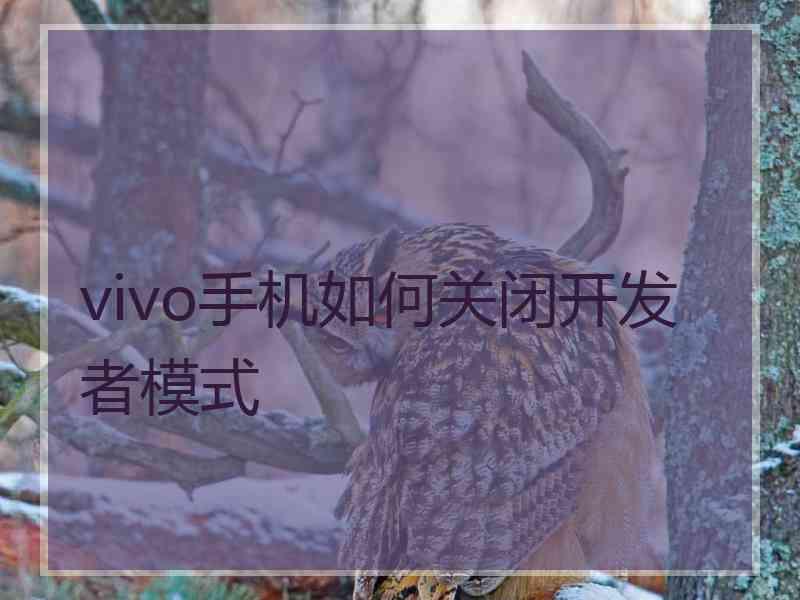 vivo手机如何关闭开发者模式