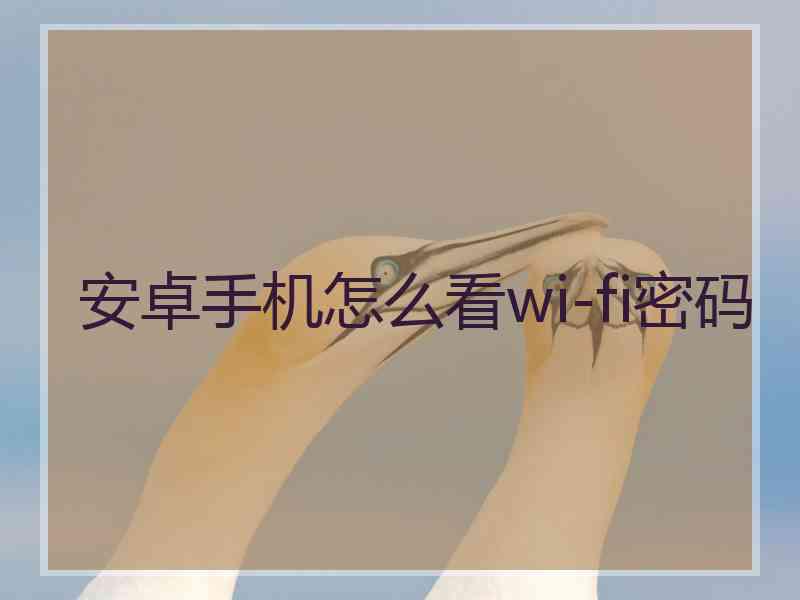 安卓手机怎么看wi-fi密码