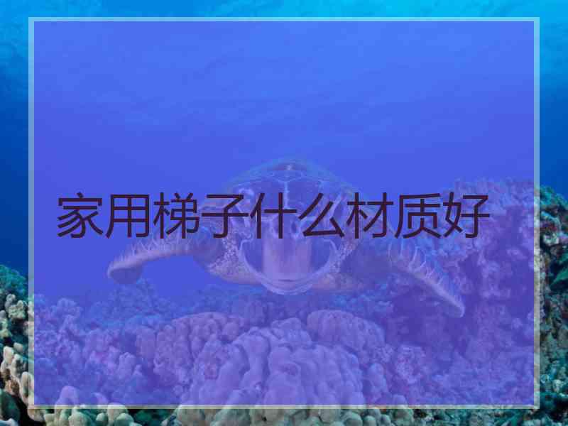 家用梯子什么材质好