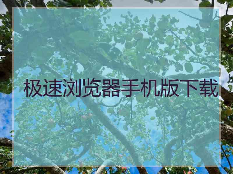 极速浏览器手机版下载