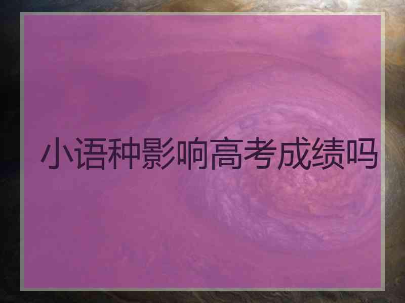 小语种影响高考成绩吗