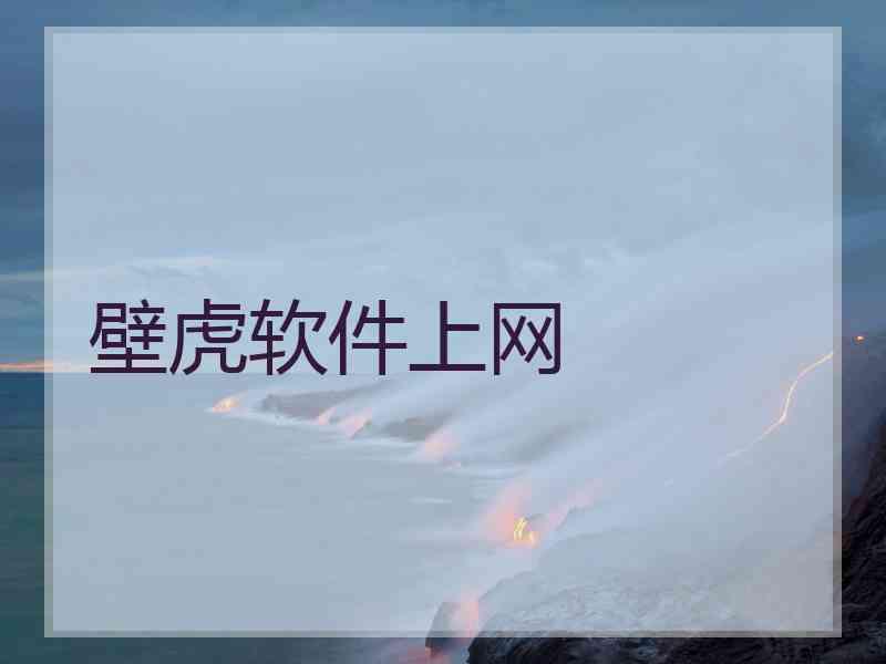 壁虎软件上网