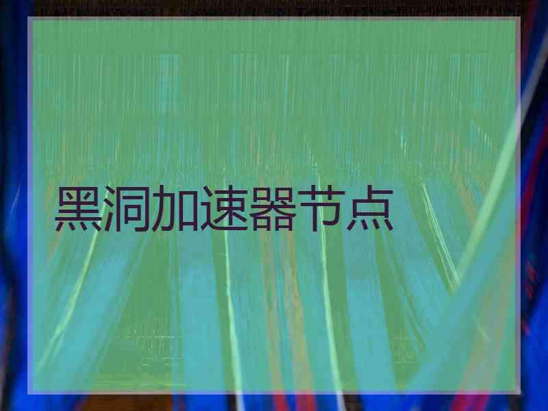 黑洞加速器节点