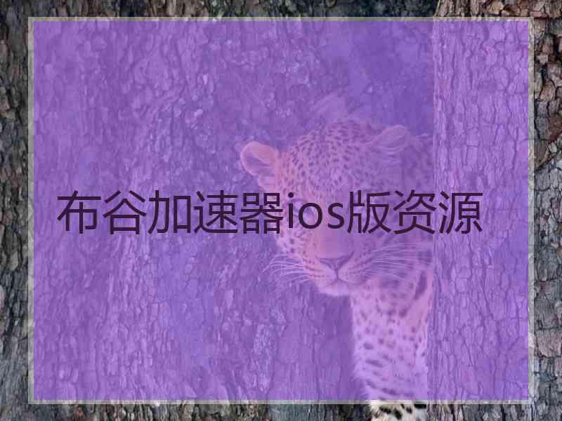 布谷加速器ios版资源