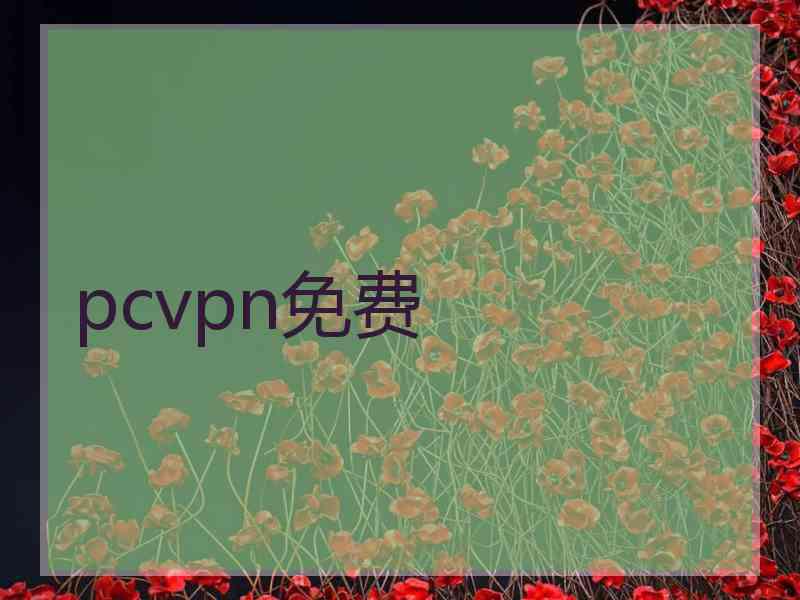 pcvpn免费